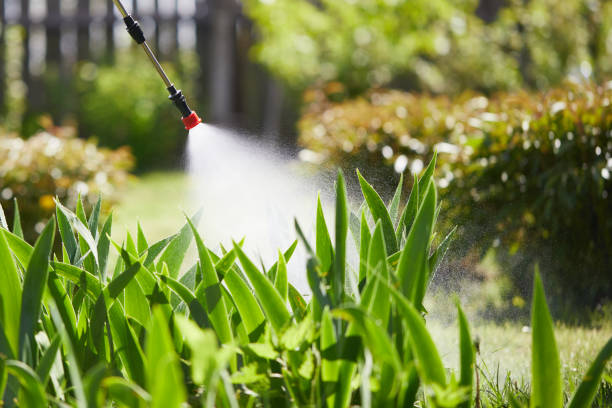 Tamper-Resistant Bait Stations for Rodents in Universal City