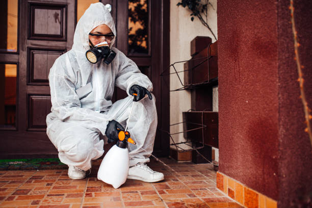 Attic and Crawl Space Rodent Treatment in Universal City